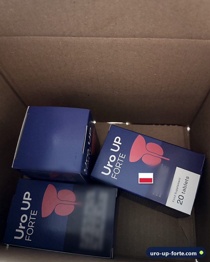 Pudełka Uro UP Forte w kartonie kurierskim